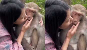 Viral Video: ಸುಮ್ಮನೇ ಕೂತಿದ್ದ ಕೋತಿಯನ್ನು ಹುಡುಕಿಕೊಂಡು ಬಂದ ಅದೃಷ್ಟ! ಹುಡುಗೀರು ಹಿಂಗ್‌ ಮಾಡಿದ್ರೆ ಹುಡುಗರ ಬಾಧೆ ಕೇಳೋರ್ ಯಾರು..