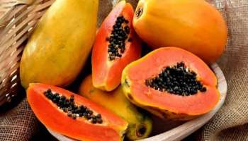 ಈ ಆರೋಗ್ಯ ಸಮಸ್ಯೆ ಇರುವವರು ಅಪ್ಪಿ ತಪ್ಪಿಯೂ ಪಪ್ಪಾಯಿ ಸೇವಿಸಬಾರದು.! 