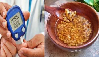 ಈ ಕಾಳನ್ನು ಒಂದು ಲೋಟ ನೀರಿಗೆ ಹಾಕಿ ಬೆಳಗ್ಗೆ ಖಾಲಿ ಹೊಟ್ಟೆಗೆ ಕುಡಿದರೆ.. ದಿನವಿಡೀ ಬ್ಲಡ್ ಶುಗರ್ ನಾರ್ಮಲ್ ಆಗಿರುತ್ತೆ!