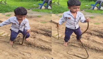Viral Video: ಬರಿಗೈಲಿ ಹಾವು ಹಿಡಿದ ಚೋಟುದ್ದ ಬಾಲಕ, ಪುಟಾಣಿಯ ಧೈರ್ಯಕ್ಕೆ ನೆಟಿಜನ್ಸ್‌ ಶಾಕ್!!