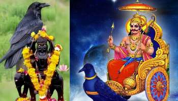 ಇಂದು ಶನಿ ಅಮಾವಾಸ್ಯೆಯಂದೇ ಶುಕ್ರ ಸಂಚಾರ... ಈ ರಾಶಿಯವರಿಗೆ ಶುಕ್ರ ದೆಸೆ ಇವತ್ತಿಂದಲೇ ಶುರು! ರಾಜವೈಭೋಗ, ಬಹುಕಾಲದ ಕನಸು ನನಸಾಗುವ ಪರ್ವಕಾಲ!