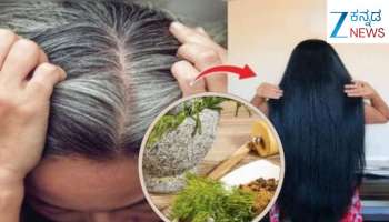 ಈ ಎಲೆಯಿಂದ ಕೆಲವೇ ನಿಮಿಷಗಳಲ್ಲಿ ನ್ಯಾಚುರಲ್ ಆಗಿ ಕಪ್ಪಾಗುತ್ತೆ ಬಿಳಿ ಕೂದಲು 