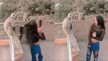 Viral Video: ಸುಮ್ಮನೆ ಕುಳಿತಿದ್ದ ಕೋತಿಯ ಮುಂದೆ ಹುಚ್ಚೆದ್ದು ಕುಣಿದ ಯುವತಿ! ತಾಳ್ಮೆ ಕಳೆದುಕೊಂಡ ಮಂಗ ಮಾಡಿದ್ದೇನು? ವಿಡಿಯೋ ವೈರಲ್..‌