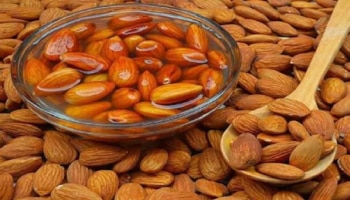 ಬೆಳಗ್ಗೆ ನೆನೆಸಿಟ್ಟ ಬಾದಾಮಿ ಸೇವಿಸಿದರೆ ಏನಾಗುತ್ತೆ ಗೊತ್ತಾ? ದಿನಕ್ಕೆ ಎಷ್ಟು ಸೇವಿಸಬೇಕು?