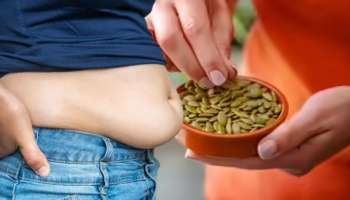 ಕುಂಬಳ ಬೀಜದಿಂದ ಬೆಣ್ಣೆಯಂತೆ ಕರಗುತ್ತೆ ಡೊಳ್ಳು ಹೊಟ್ಟೆ: ದಿನಕ್ಕೆ ಎಷ್ಟು ತಿನ್ನಬೇಕು ಗೊತ್ತಾ! 