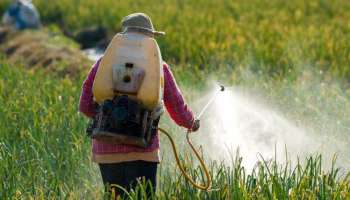 ಕೇಂದ್ರದಿಂದ ರೈತರಿಗೆ ಬಂಪರ್.. ಕೀಟನಾಶಕ, ಕೃಷಿ ಉತ್ಪನ್ನಗಳ ಬೆಲೆ ಇಳಿಕೆ! ಇಲ್ಲಿದೆ ಸಂಪೂರ್ಣ ಪಟ್ಟಿ..