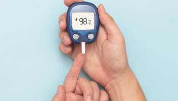 ಮಧುಮೇಹವನ್ನು ನಿಯಂತ್ರಣದಲ್ಲಿಡಲು ಯಾವ ತರಕಾರಿಗಳನ್ನು ತಿನ್ನಬೇಕು ಇಲ್ಲಿ ತಿಳಿಯಿರಿ!