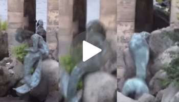 viral Video: ಸಮುದ್ರದ ದಡದಲ್ಲಿ ಅರ್ಧಾಂಗಿಯ ಜೊತೆ ಕೂತ 'ಮತ್ಸ್ಯಕನ್ಯೆ'! ಪ್ರವಾಸಿಗರಿಗೆ ಕಂಡಿದ್ದು ಬೆಲೆ ಕಟ್ಟಲಾಗದ ದೃಶ್ಯ