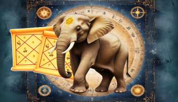 ಗಜಕೇಸರಿ ಯೋಗ... ಇಂದಿನಿಂದಲೇ ಈ ರಾಶಿಯ ಅದೃಷ್ಟದ ಪರ್ವಕಾಲ ಶುರು; ಕಷ್ಟಗಳೆಲ್ಲಾ ದೂರ, ಹಣದ ಸುರಿಮಳೆಯಾಗುವುದು