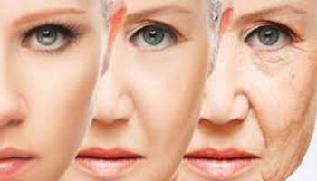 ದುಬಾರಿ ಆ್ಯಂಟಿ-ಏಜಿಂಗ್ ಕ್ರೀಮ್‌ಗಳು ಬೇಕಿಲ್ಲ: ಪ್ರತಿದಿನ ಈ ಆಹಾರಗಳನ್ನು ಬಳಸಿ ವಯಸ್ಸು 40 ದಾಟಿದ್ರೂ ಯಂಗ್ ಆಗಿ ಕಾಣ್ತೀರ