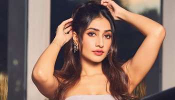 "ನಾನು ಸಲ್ಮಾನ್ ಖಾನ್.." : ಧನಶ್ರೀ ವರ್ಮಾ ಎರಡನೇ ಮದುವೆ!? ರಿವೀಲ್‌ ಆಯ್ತು ಶಾಕಿಂಗ್‌ ವಿಚಾರ