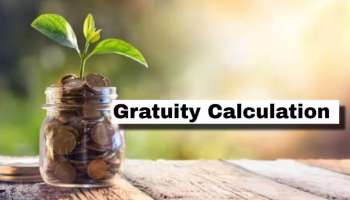 ಗ್ರಾಚ್ಯುಟಿ ಲೆಕ್ಕಾಚಾರ: 10 ವರ್ಷಗಳ ಸೇವೆ, ಕಡೆಯ ಕನಿಷ್ಠ ವೇತನ 60,000 ರೂ. ಆಗಿದ್ರೆ ಎಷ್ಟು ಗ್ರಾಚ್ಯುಟಿ ಹಣ ಸಿಗುತ್ತೆ? 