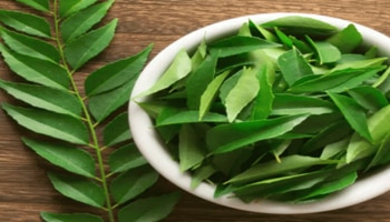 ಮಧುಮೇಹ ನಿಯಂತ್ರಣಕ್ಕೆ ಈ ನಾಲ್ಕು ಎಲೆಗಳು ಸಾಕು!