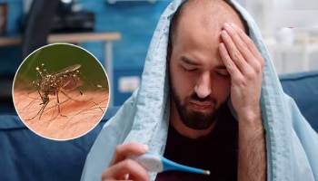 ನಿಮಗೆ ಡೆಂಗ್ಯೂ ಬಂದಿದ್ದರೆ ಏನು ತಿನ್ನಬೇಕು, ಏನು ತಿನ್ನಬಾರದು..?