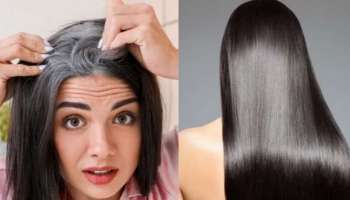ಹೇರ್ ಡೈ ಅಲ್ಲ! ಇವುಗಳಲ್ಲಿ ಯಾವುದಾದರೊಂದು ಮನೆಮದ್ದು ಬಳಸಿದರೂ ಬೆಳ್ಳಗಿರುವ ಕೂದಲು ಕಪ್ಪಾಗುತ್ತೆ 