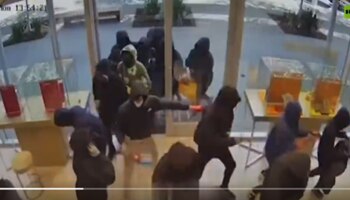 ಆಭರಣದ ಅಂಗಡಿಗೆ ಏಕಕಾಲಕ್ಕೆ ನುಗ್ಗಿದ 25 ಜನ ಕಳ್ಳರು? ಮುಂದೆ ಆಗಿದ್ದೇನು? ವಿಡಿಯೋ ವೈರಲ್..!