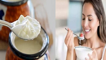  ನೀವು ರಾತ್ರಿ ಮೊಸರು ತಿನ್ನುತ್ತೀರಾ? ಆದರೆ ಅದು ಎಷ್ಟು ಅಪಾಯಕಾರಿ ಎನ್ನುವುದು ಗೊತ್ತಾ?