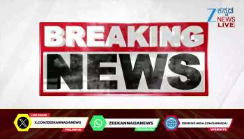 Kantara 1 Release: Fans Completely Impressed