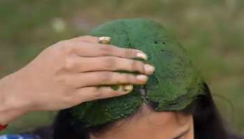 ಈ ಎಲೆಯನ್ನು ರುಬ್ಬಿ ಹಚ್ಚಿದರೆ ಸೆಕೆಂಡುಗಳಲ್ಲಿ ಕಪ್ಪಾಗುತ್ತೆ ಕೂದಲು! ಬಿಳಿ ಕೂದಲಿಗೆ ಇದೊಂದೇ ಶಾಶ್ವತ ಪರಿಹಾರ