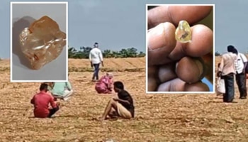 ಈ ಹಳ್ಳಿಗಳಲ್ಲಿ ಮಳೆ ಬಂದಾಗ ಹೊಲದಲ್ಲಿ ಸಿಗಲಿದೆ ಕೋಟ್ಯಾಂತರ ಮೌಲ್ಯದ ವಜ್ರಗಳು...!