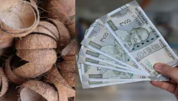 ನಿಷ್ಪ್ರಯೋಜಕ ಎಂದು ತಿಪ್ಪೆಗೆ ಎಸೆಯುವ ತೆಂಗಿನ ಚಿಪ್ಪುಗಳಿಂದ ಲಕ್ಷಗಟ್ಟಲೆ ಗಳಿಸಬಹುದು! ಹೇಗೆ ಗೊತ್ತೇ?