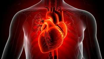 ಹೃದ್ರೋಗಿಗಳು ಪ್ರತಿದಿನ ಈ 5 ಆಹಾರಗಳನ್ನು ಸೇವಿಸಬೇಕು, ದುರ್ಬಲ ಹೃದಯ ಕೂಡ ಬಲಗೊಳ್ಳುತ್ತದೆ!