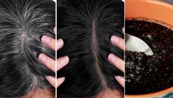 ಈ ಪುಟ್ಟ ಕಾಳುಗಳನ್ನು ಬಳಸಿ ಬೆಳ್ಳಗಾಗಿರುವ ಕೂದಲನ್ನು ಶಾಶ್ವತವಾಗಿ ಕಪ್ಪಾಗಿಸಿ 