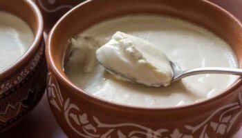 ಪ್ರತಿದಿನ ಒಂದು ಕಪ್ ಮೊಸರು ತಿಂದರೆ ನಿಮ್ಮ ದೇಹಕ್ಕೆ ಏನಾಗುತ್ತೆ ಗೊತ್ತಾ..?