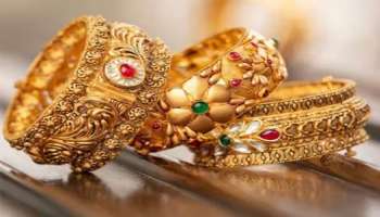 ಈ ತಿಂಗಳಲ್ಲಿ ಅರ್ಧಕ್ಕೆ ಇಳಿಯಲಿದೆ ಚಿನ್ನದ ಬೆಲೆ : ಕಾರಣವೂ ಸ್ಪಷ್ಟ 