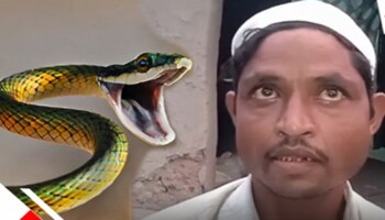 &#039;ರಾತ್ರಿಯಲ್ಲಿ ಹಾವಾಗಿ ಗಂಡನಿಗೆ ಕಚ್ಚುವ ಪತ್ನಿ&#039;-ಯುಪಿ ವ್ಯಕ್ತಿ ದೂರು, ತನಿಖೆಗೆ ಆದೇಶ