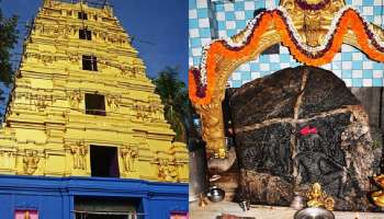 ಹಾಸನಾಂಬೆ ಜಾತ್ರಾ ಮಹೋತ್ಸವ 2025: ಇಂದಿನಿಂದ ವಿಶೇಷ ವ್ಯವಸ್ಥೆಗಳಲ್ಲಿ ದರ್ಶನ ಆರಂಭ