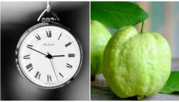 ಇದು ಹಣ್ಣಲ್ಲ, ಅಮೃತ.. ಆದರೆ ಪ್ರತಿದಿನ ಈ ಸಮಯದಲ್ಲಿ ಮಾತ್ರ ಸೇವಿಸಿದರೆ ಒಳ್ಳೆಯದು!