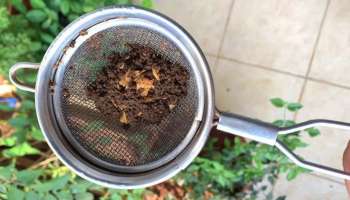 ಮಹಿಳೆಯರೇ ಇಲ್ಲಿ ಗಮನಿಸಿ! ಟೀ ಪೌಡರ್ ಎಸೆಯಬೇಡಿ, ಅದರಿಂದ ಎಷ್ಟು ಹಣ ಉಳಿತಾಯ ಮಾಡಬಹುದು ಗೊತ್ತೆ?