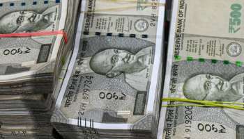  ಫ್ಯಾನ್ಸಿ ಡಿಗ್ರಿ, ಅನುಭವದ ಬೇಡ, ಮನೆಯಲ್ಲೇ ಈ ವ್ಯವಹಾರ ಶುರುಮಾಡಿ ಲಕ್ಷಗಟ್ಟಲೇ ಗಳಿಸಿ! ಸಕ್ಸಸ್‌ ಬ್ಯುಸಿನೆಸ್‌ ಫಿಕ್ಸ್‌..