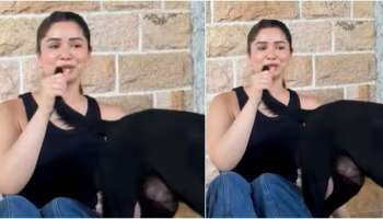 ಹೋಗಿ ಹೋಗಿ ನಾಯಿ ಬಾಲದ ಜೊತೆ ಮಾತನಾಡಲು ನಿಂತ ಸಾರಾ ತೆಂಡೂಲ್ಕರ್‌!! ವಿಚಿತ್ರವಾಗಿ ವರ್ತಿಸಿದ ಸಚಿನ್‌ ಪುತ್ರಿಯ ವಿಡಿಯೋ