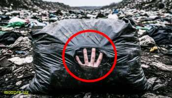 ಚೀಲದಲ್ಲಿ ಸ್ಟಾರ್‌ ನಟಿಯ ಶವ ಪತ್ತೆ, ಆದರೆ ತಲೆ ನಾಪತ್ತೆ..! ನಿಗೂಢವಾಗಿ‌ ಹತ್ಯೆಯಾದ ಈ ಹೀರೋಯಿನ್‌ ಯಾರು ಗೊತ್ತೆ?