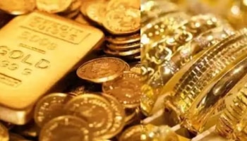 Dhanteras Gold: ಚಿನ್ನದ ಆಭರಣ ಅಥವಾ ನಾಣ್ಯಗಳು.. ಹೂಡಿಕೆಗೆ ಯಾವುದು ಉತ್ತಮ?