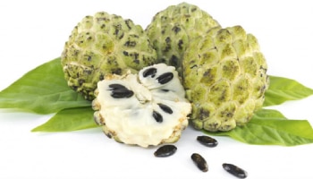 ಇಂತಹವರು ಅಪ್ಪಿತಪ್ಪಿಯೂ ಸೀಪಾಫಲ ಸೇವಿಸಬಾರದು: ಈ ಹಣ್ಣಿನಿಂದ ದೂರವಿದ್ದಷ್ಟು ಆರೋಗ್ಯಕ್ಕೆ ಉತ್ತಮ