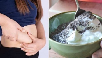 ಜಿಮ್‌ ಬೇಕಿಲ್ಲ... ಮೊಸರಿಗೆ ಈ ಬೀಜ ಬೆರೆಸಿ ಖಾಲಿ ಹೊಟ್ಟೆಯಲ್ಲಿ ತಿನ್ನಿ, ಜೋತು ಬಿದ್ದ ಡೊಳ್ಳು ಹೊಟ್ಟೆ ಬೆಣ್ಣೆಯಂತೆ ಕರಗುವುದು!