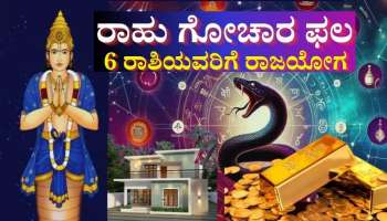 ರಾಹುವಿನಿಂದ 6 ರಾಶಿಯವರಿಗೆ ರಾಜಯೋಗ: ಅಪಾರ ಧನ-ಸಂಪತ್ತು, ಭಾಗ್ಯೋದಯ, ಸಕಲೈಶ್ವರ್ಯ 