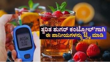 ದೀಪಾವಳಿ ಹಬ್ಬದಲ್ಲಿ ಮಧುಮೇಹ ಹೆಚ್ಚಾಗಿದ್ಯಾ! ತ್ವರಿತ ಶುಗರ್ ಕಂಟ್ರೋಲ್ ಮಾಡಲು ಈ ಹರ್ಬಲ್ ಪಾನೀಯಗಳನ್ನು ಸೇವಿಸಿ
