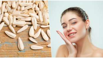 ಮುಖದಲ್ಲಿ ಒಂದು ಗುಳ್ಳೆ, ಕಲೆಗಳು ಇರಬಾರದು ಅಂದ್ರೆ ಪ್ರತಿನಿತ್ಯ ಈ ಬೀಜಗಳನ್ನು ತಿನ್ನಿ! ತ್ವಚೆ ಫಳ ಫಳ ಹೊಳೆಯುತ್ತದೆ.. ಟ್ರೈ ಮಾಡಿ