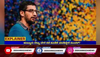 Tamil Nadu enters Google AI Hub debate in Andhra Pradesh 