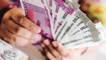 ತಿಂಗಳಿಗೆ 2 ಲಕ್ಷ ರೂಪಾಯಿ ಸಂಪಾದಿಸಬೇಕೆ? ಹಾಗಿದ್ರೆ ನಿಮ್ಮ ಊರಿನಲ್ಲೇ ಈ ಬ್ಯುಸಿನೆಸ್‌ ಶುರು ಮಾಡಿ... 