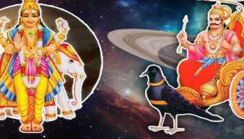 ರಾಜಯೋಗದೊಂದಿಗೆಯೇ ಹೊಸ ವರ್ಷಕ್ಕೆ ಕಾಲಿಡುವ ರಾಶಿಗಳಿವು :  2026ರ ಆಗಮನದೊಂದಿಗೆಯೇ ಇವರ ಸುವರ್ಣ ಯುಗ ಆರಂಭ 