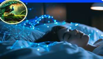 ಕನಸಿನಲ್ಲಿ ಈ ಪ್ರಾಣಿ ಕಂಡರೆ ಹಣ, ಉನ್ನತ ಸ್ಥಾನ, ಪ್ರತಿಷ್ಠೆ ಒಲಿದು ಬರುವ ಸಂಕೇತ 