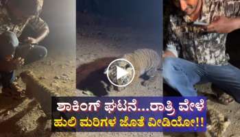 ಶಾಕಿಂಗ್ ಘಟನೆ...ರಾತ್ರಿ ವೇಳೆ ಹುಲಿ ಮರಿಗಳ ಜೊತೆ ವೀಡಿಯೋ!