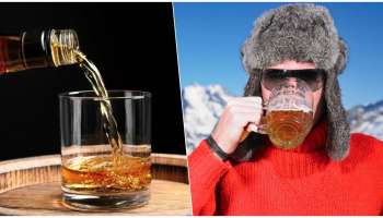 ಚಳಿಗಾಲದಲ್ಲಿ ಯಾವ ಎಣ್ಣೆ ಬೆಸ್ಟ್‌ ಗೊತ್ತಾ? ಸಿಕ್ಕಿದ್ದೇಲ್ಲ ಕುಡಿಯುವುದಕ್ಕಿಂತ ಮುಂಚೆ ಈ ರಹಸ್ಯ ತಿಳಿದುಕೊಳ್ಳಿ