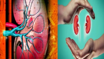 ದೇಹದಲ್ಲಿ ಪದೇ ಪದೇ ಈ ರೀತಿಯ ಲಕ್ಷಣ ಕಂಡುಬಂದ್ರೆ ನಿಮ್ಮ ಕಿಡ್ನಿ ಆರೋಗ್ಯವಾಗಿಲ್ಲ ಎಂದರ್ಥ!!