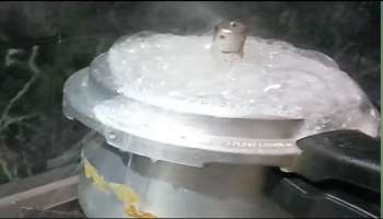 ಕುಕ್ಕರ್ ಗ್ಯಾಸ್ಕೆಟ್ ಲೂಸ್ ಆಗಿ ನೀರೆಲ್ಲಾ ಚೆಲ್ಲುತ್ತಿದ್ದರೆ ಈ ಟ್ರಿಕ್ ಬಳಸಿ! ಎರಡೇ ನಿಮಿಷದಲ್ಲಿ ರಬ್ಬರ್ ಟೈಟ್ ಆಗಿ ವಿಸಿಲ್ ಬರುವುದು 